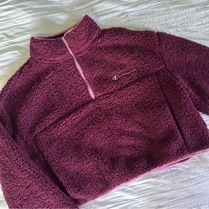Champion Fuzzy Quarter Zip Cropped Crewneck